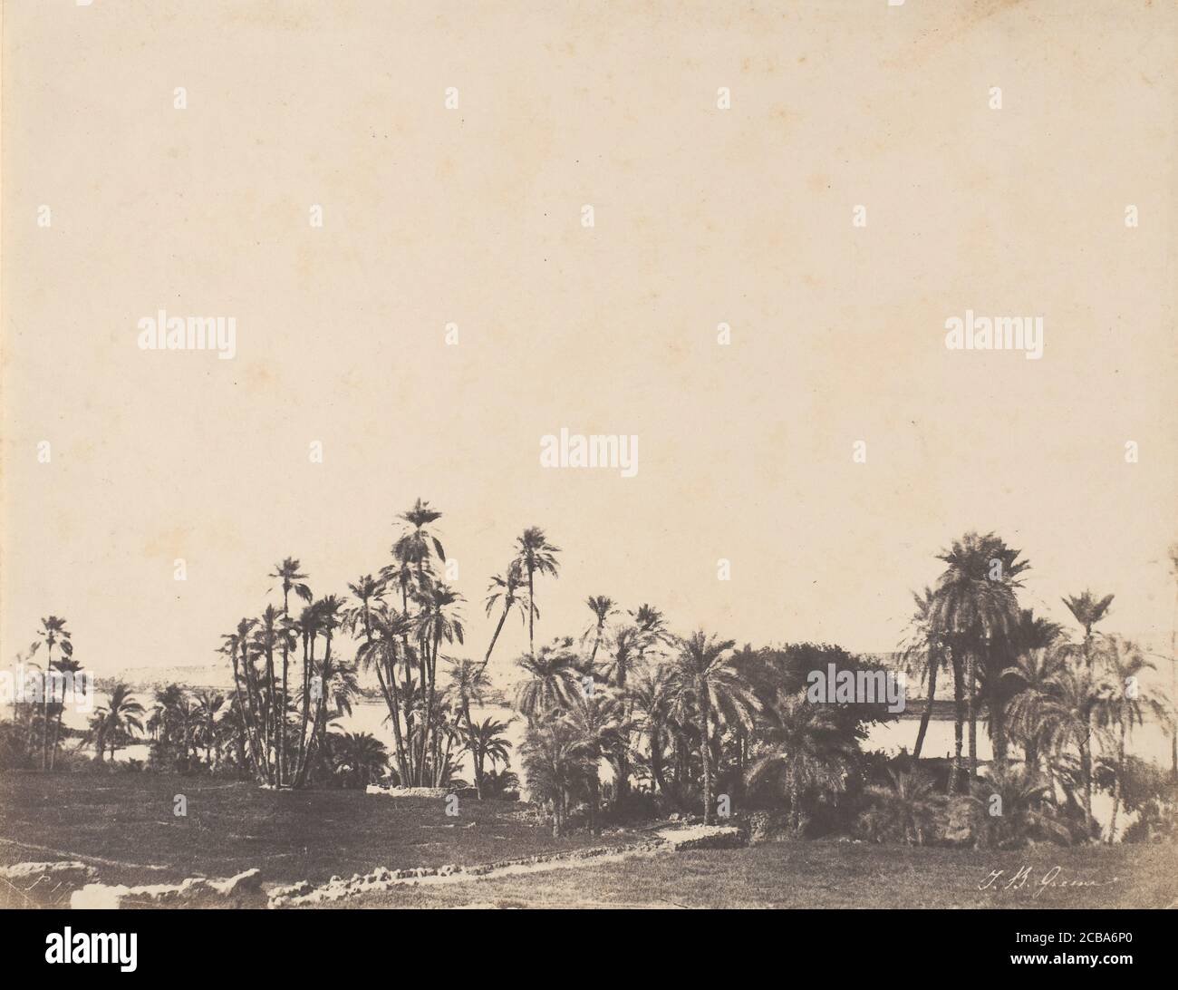 Etude de Palmiers, Bords du Nil, Kalabschi, 1853-54. Foto Stock