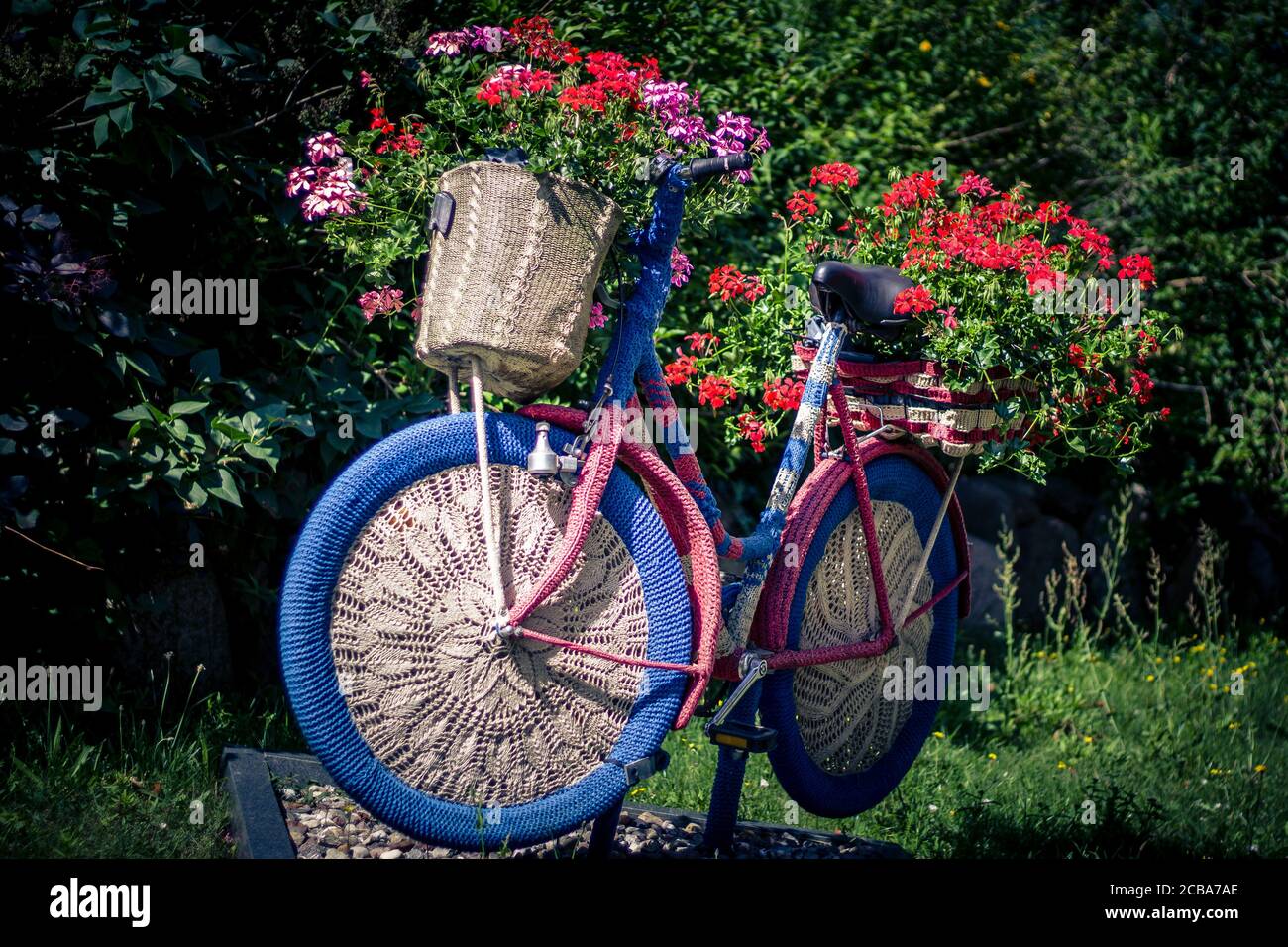 Scenario soleggiato di una bicicletta decorativa con fiori rossi in il giardino Foto Stock