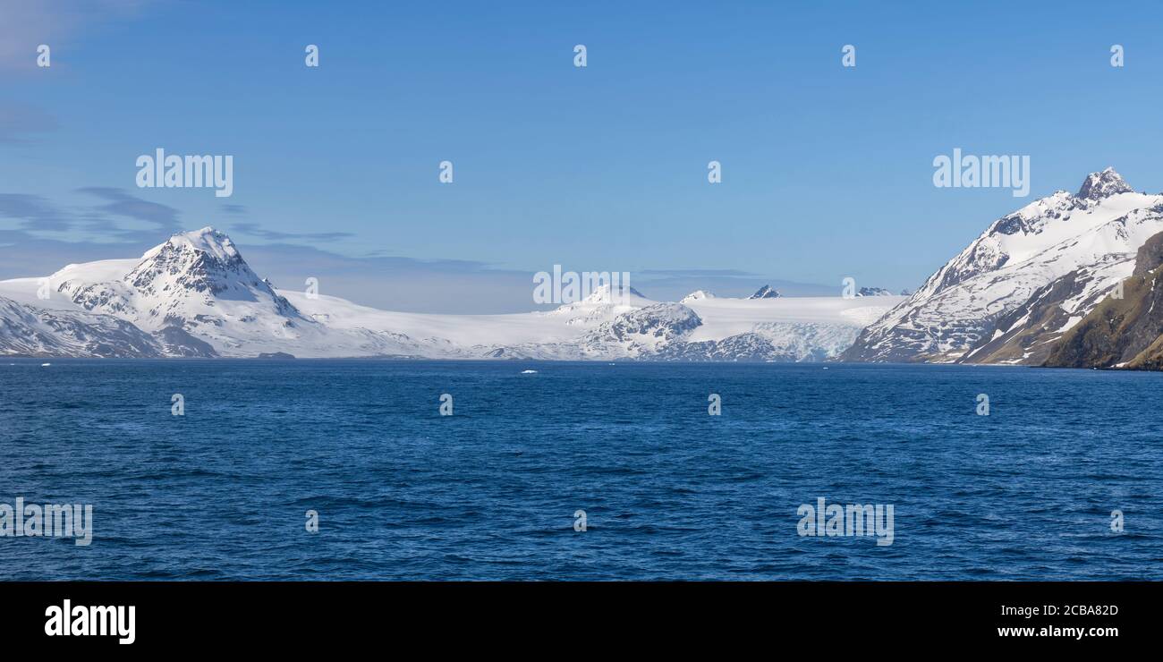 King Haakon Bay, montagne innevate e ghiacciai, Georgia del Sud, Georgia del Sud e Isole Sandwich, Antartide Foto Stock King Haakon Bay, montagne innevate e ghiacciai, Georgia del Sud, Georgia del Sud e Isole Sandwich, Antartide Foto Stock