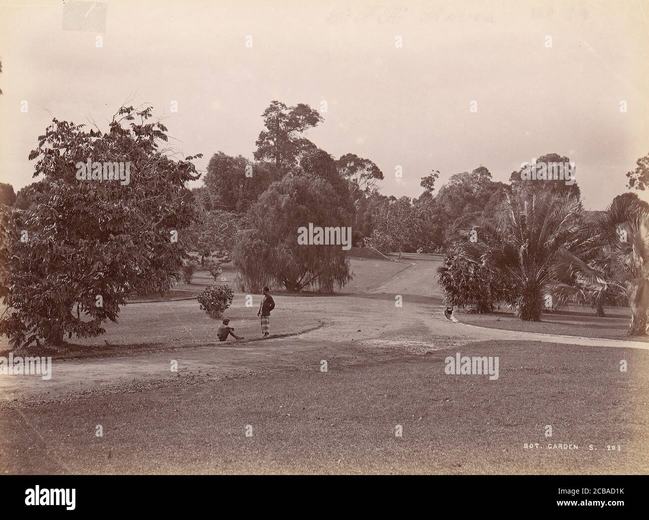 Giardino Botanico, 1860-70. Foto Stock