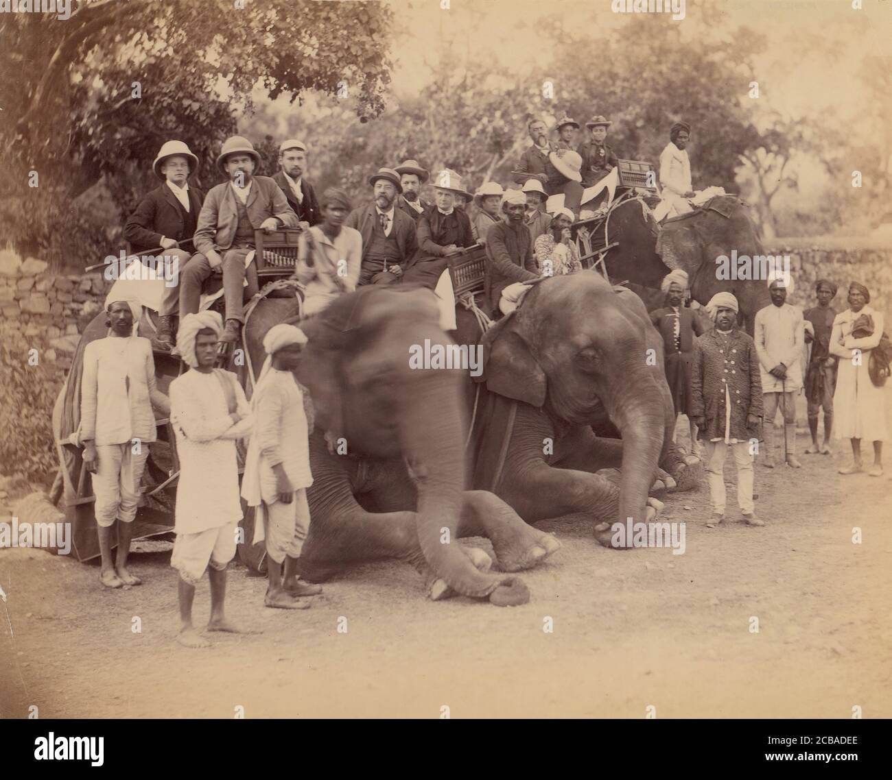 Elephant Group, 1860-70. Foto Stock