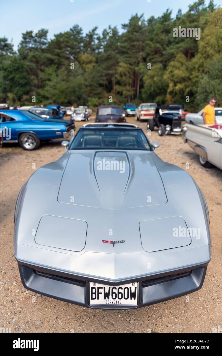 American muscle car Foto Stock