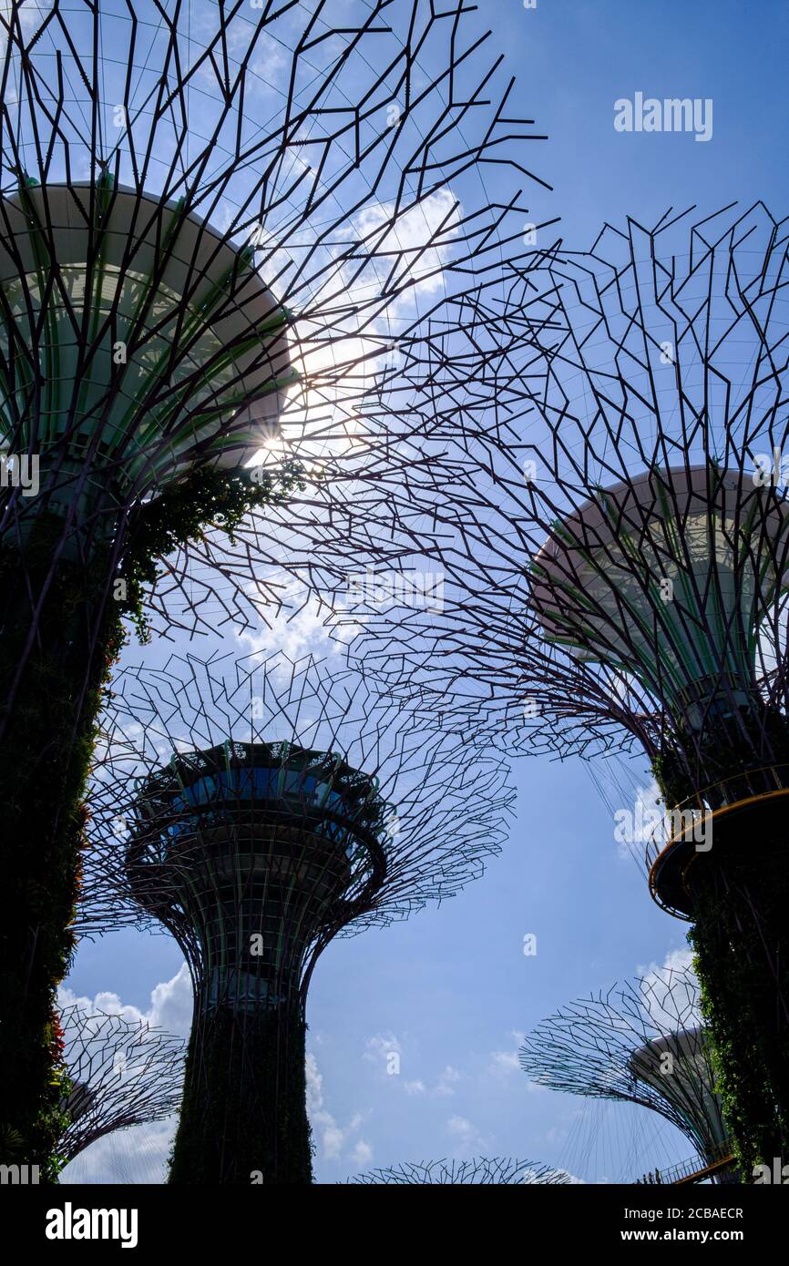 Le strutture simili ad alberi di Supertree Grove silhouette contro il sole, Gardens by the Bay, Singapore Foto Stock