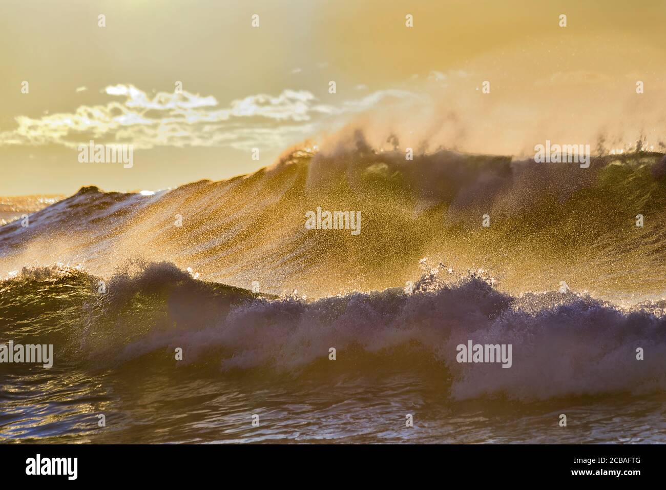 Ondate a onda rotolando sulla spiaggia sabbiosa di Bronte dei sobborghi orientali di Sydney, a rigonzate di tempesta in una luce soffusa del sole del mattino. Foto Stock