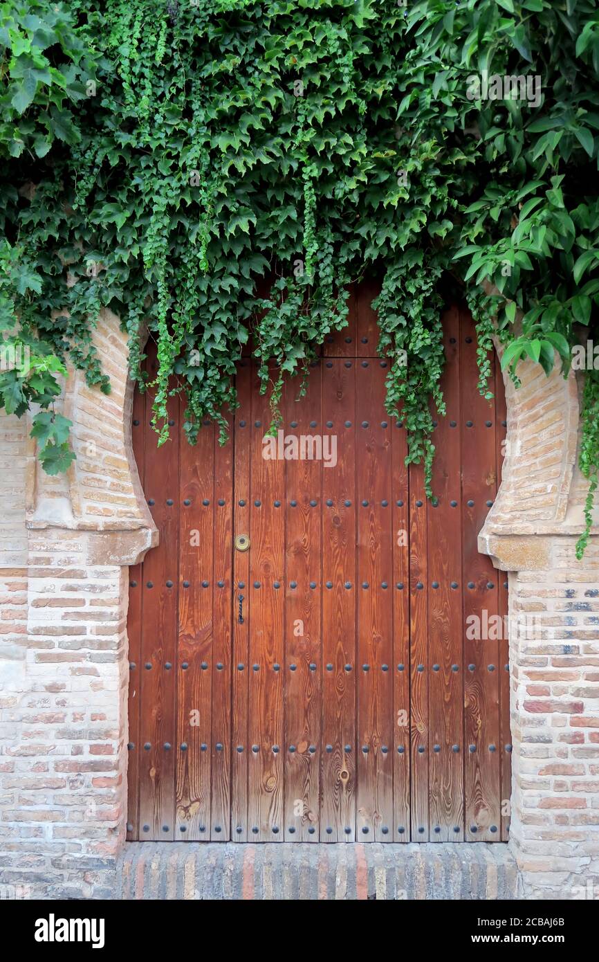 Porta araba piena di vegetazione di una vecchia casa Foto Stock