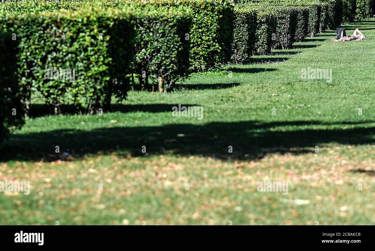 Berlino, Germania. 12 agosto 2020. Un giovane prendisole in un prato. Credit: Pedersen/dpa-Zentralbild/dpa/Alamy Live News Foto Stock