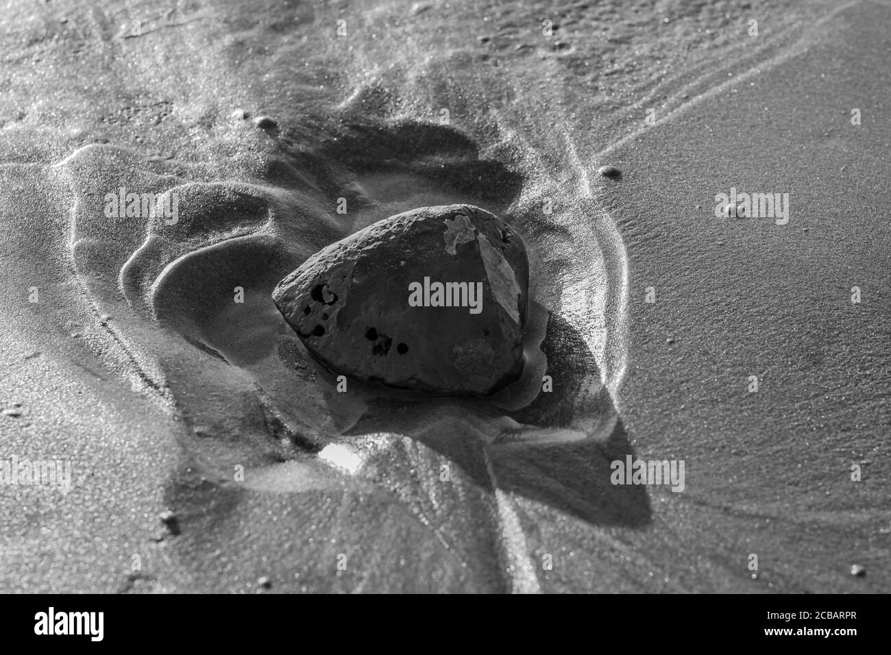 ritratto in bianco e nero su una pietra sulla spiaggia Foto Stock