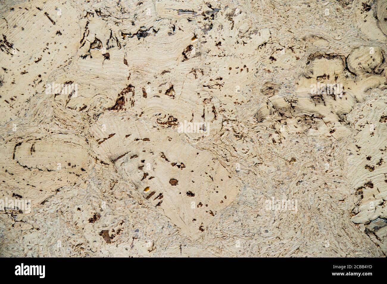 Decorativo Wall Art Abstract sfondo Texture Design Foto Stock