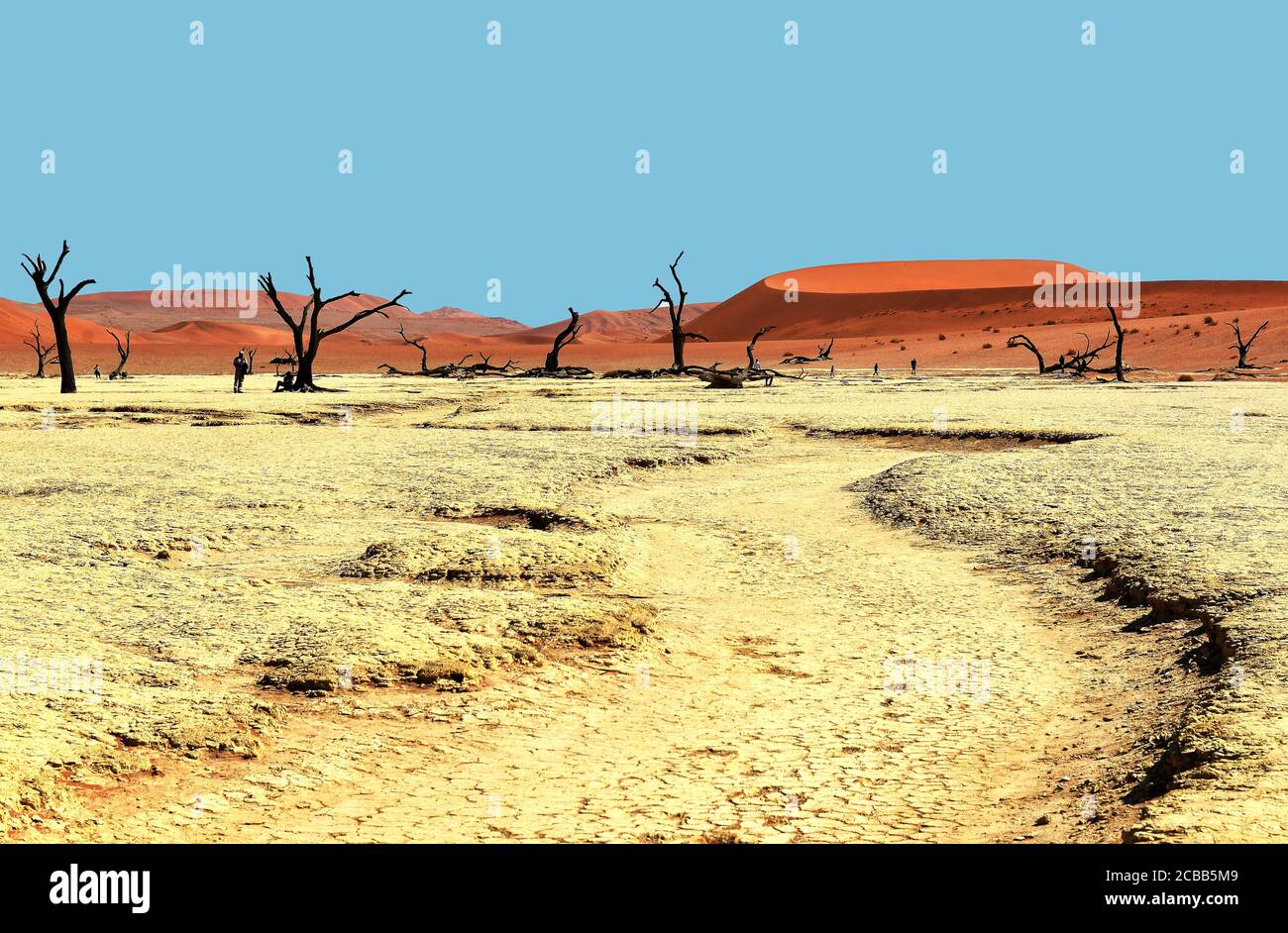 Naukluft National Park Namibia, Dead Vlei è una padella di argilla nel deserto con alberi morti. Foto Stock