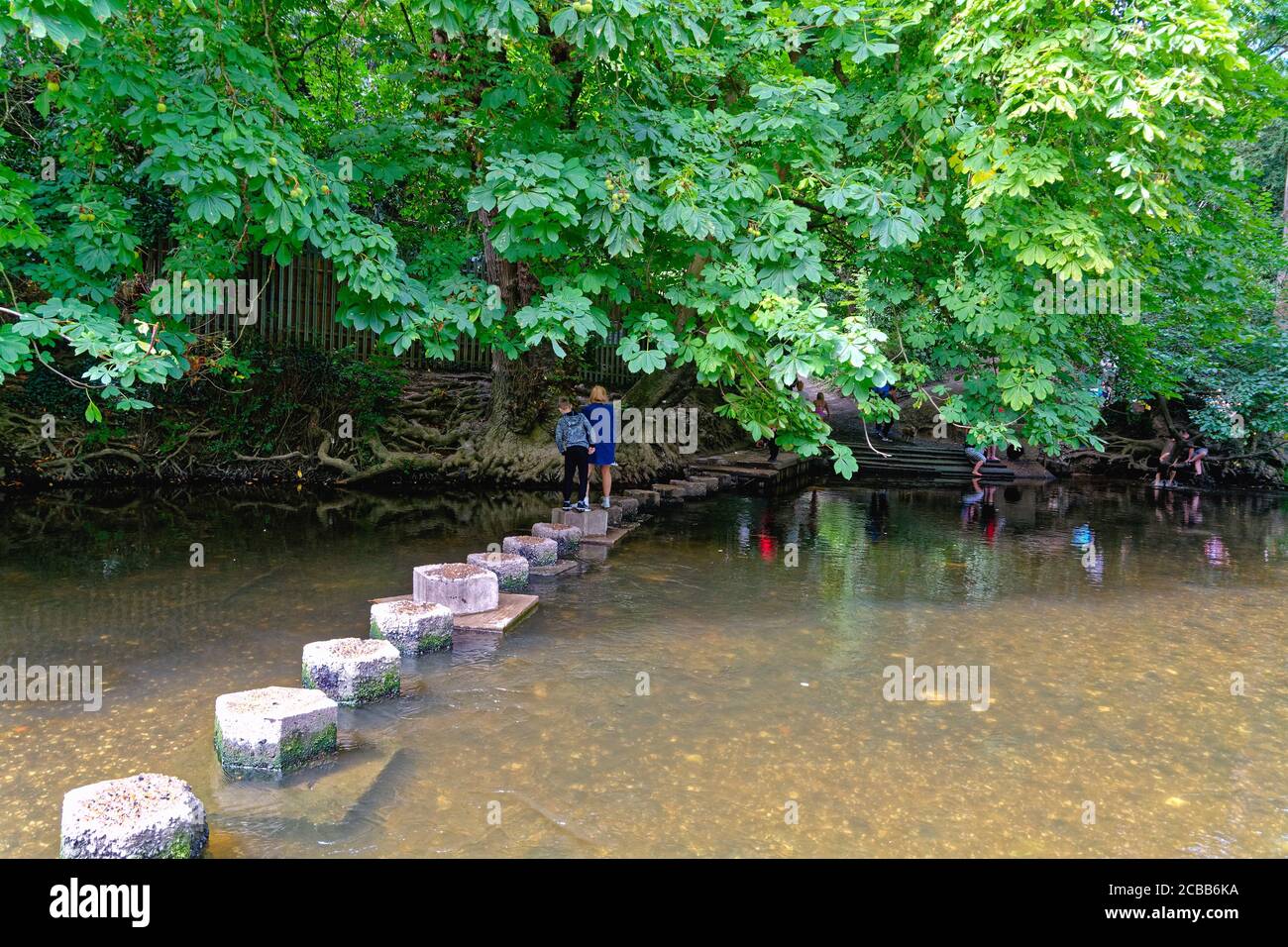 Le pietre passo che attraversano il fiume Mole a Box Hill con la gente che si gode una calda giornata estiva sul fiume Dorking Surrey Inghilterra Regno Unito Foto Stock