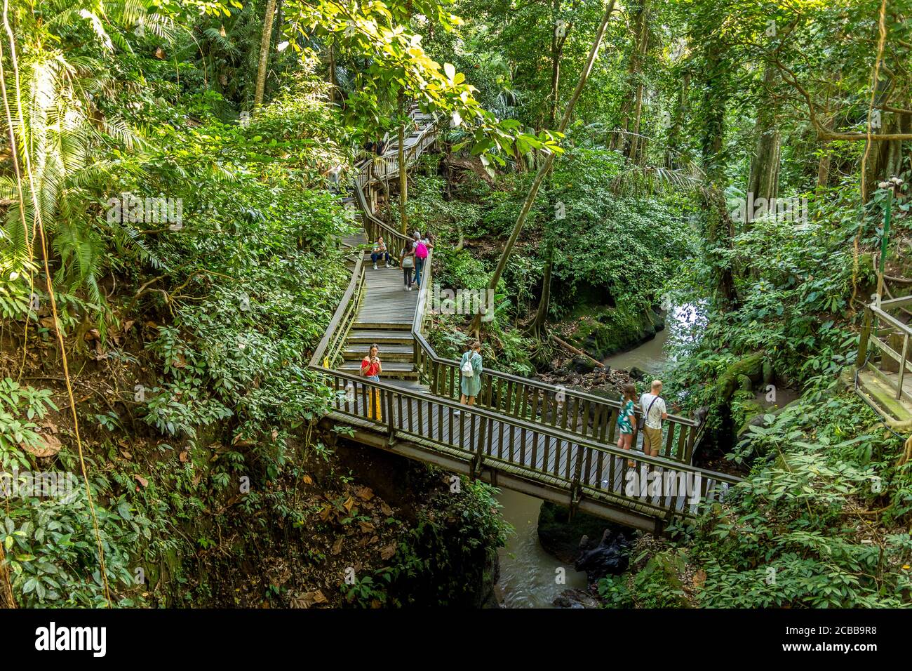 Bali, Indonesia - 27 Giugno 2019: Persone che camminano nella Foresta delle scimmie Ubud. Più di 700 scimmie balinesi a coda lunga vivono nella zona. Foto Stock