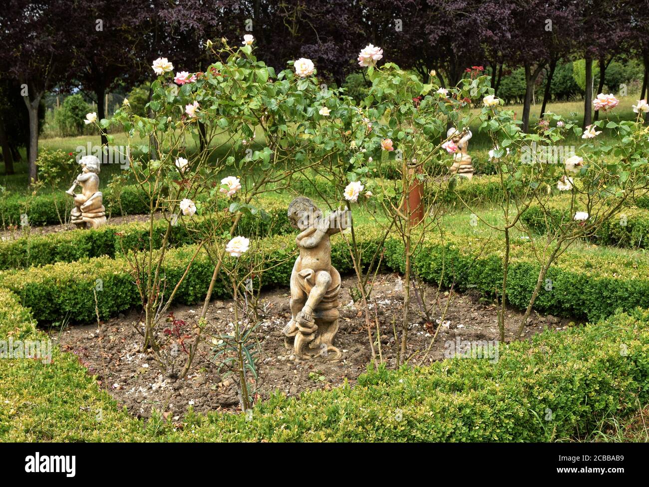 giardino di rose con statue e siepi scatolato Foto Stock