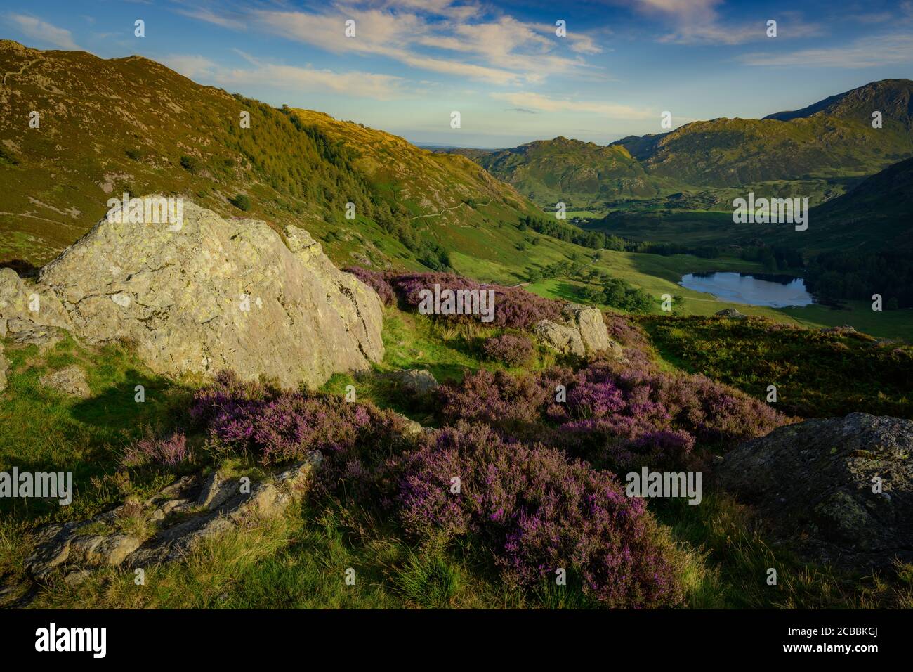 Blea Tarn a Langdale, Lake District, Inghilterra Foto Stock