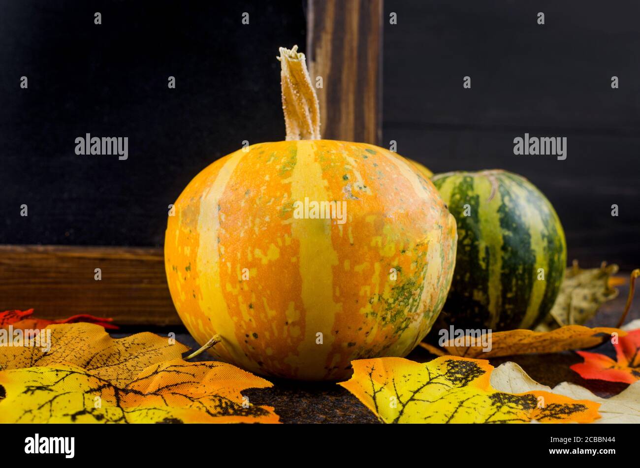 Sfondo autunno con zucche decorative, foglie su fondo di cemento scuro Foto Stock