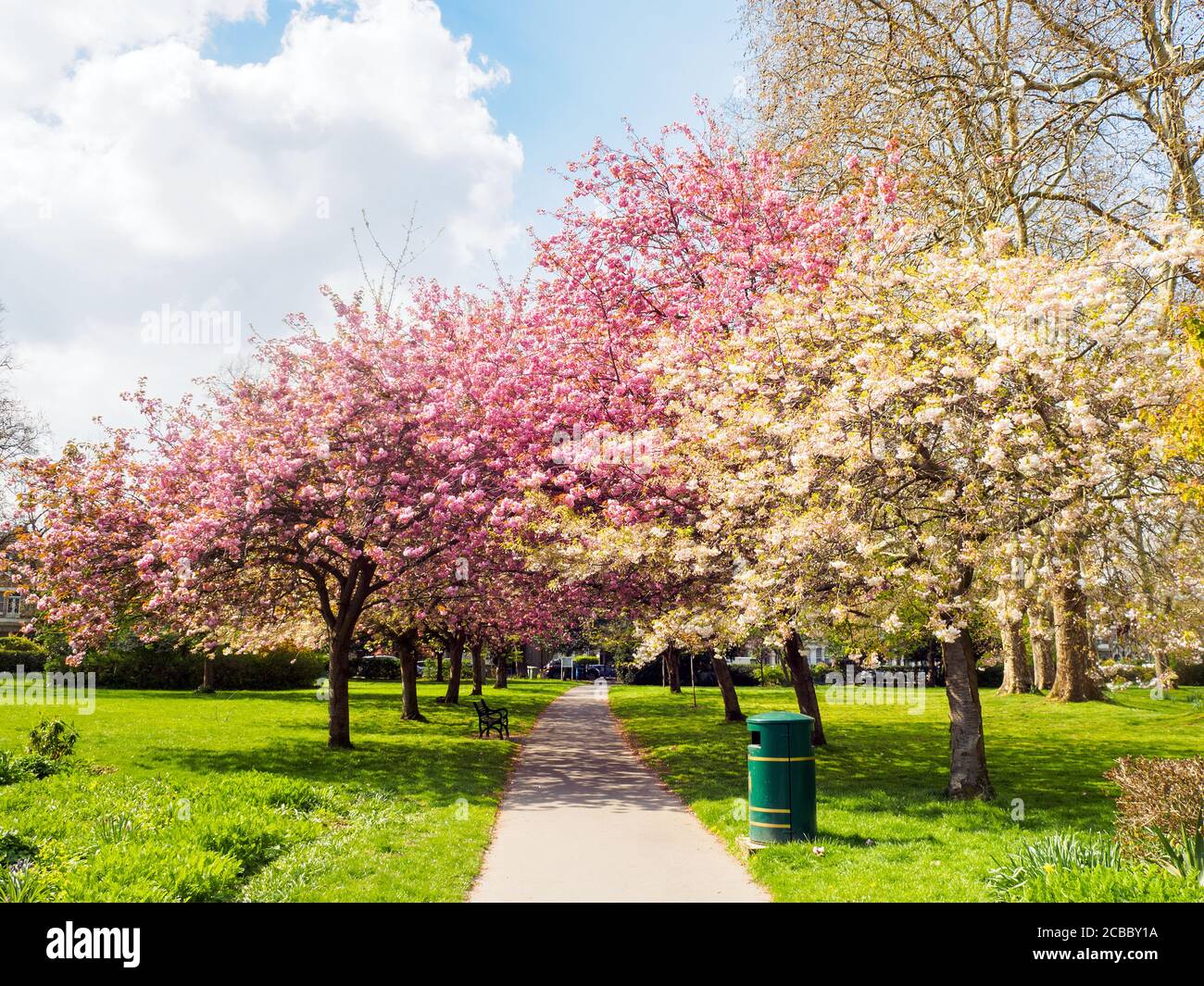 Gli alberi in fiore a Lewisham Park Gardens - a sud-est di Londra - Inghilterra Foto Stock