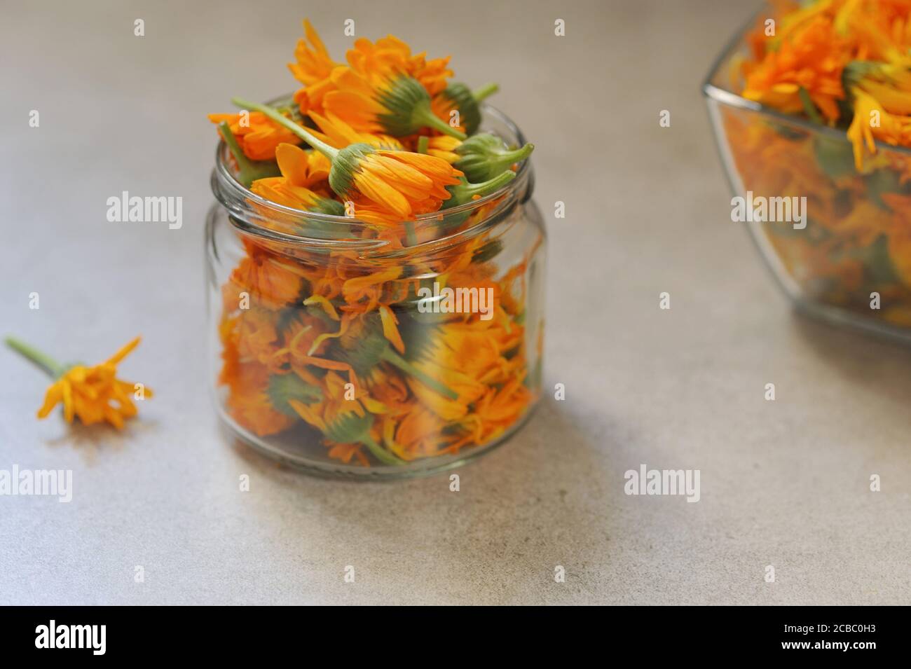 Calendula o fiori marigold nel vaso di vetro su sfondo grigio. Preparazione di fiori per l'essiccazione. Fuoco selettivo, orizzontale. Foto Stock