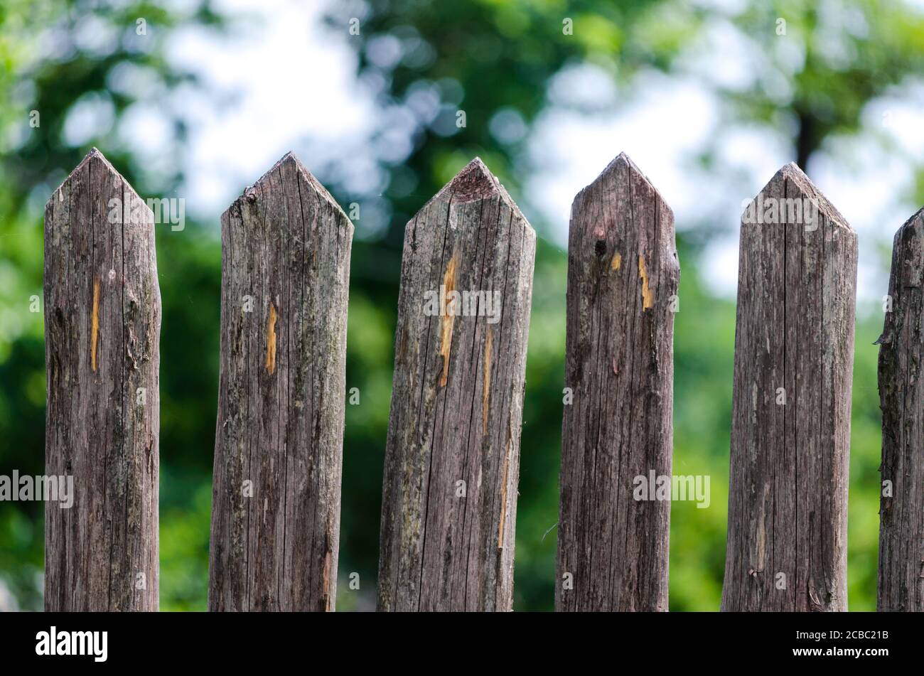 recinzione pali di legno sulla fattoria da vicino Foto Stock