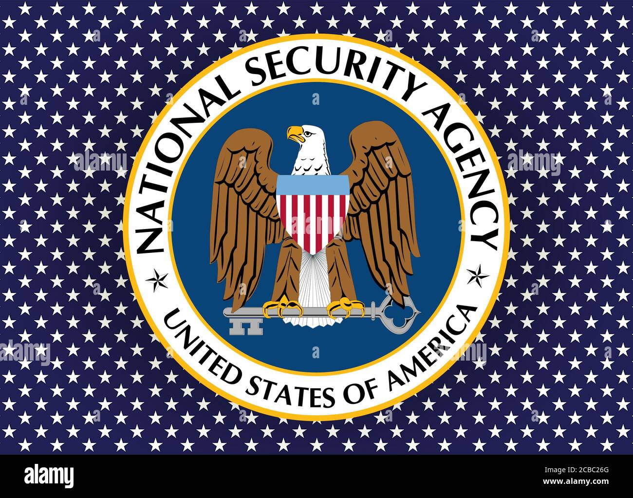 Logo NSA dell'Agenzia nazionale per la sicurezza Foto Stock