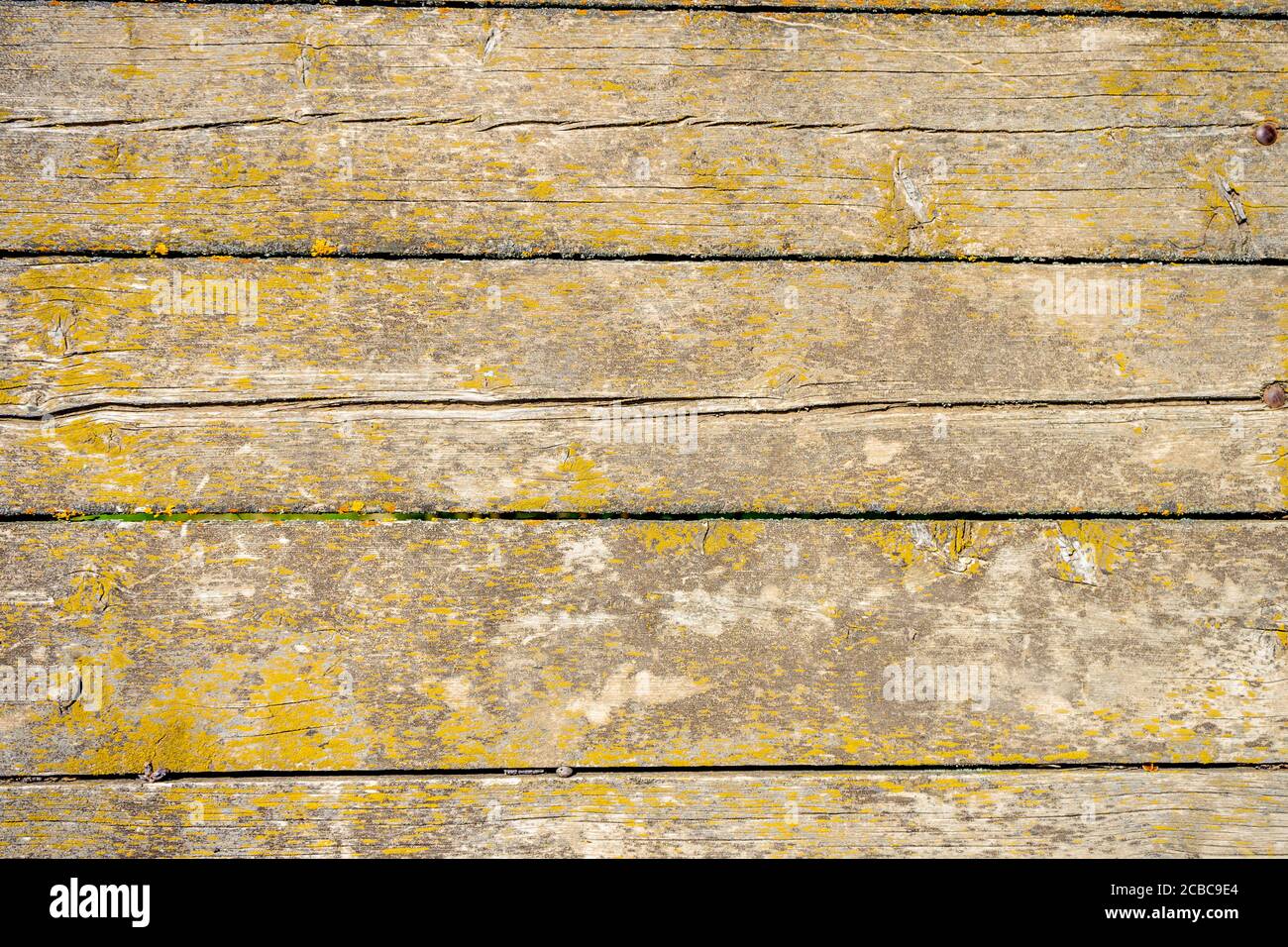 Una panca di legno di fronte ad una recinzione di legno Foto Stock