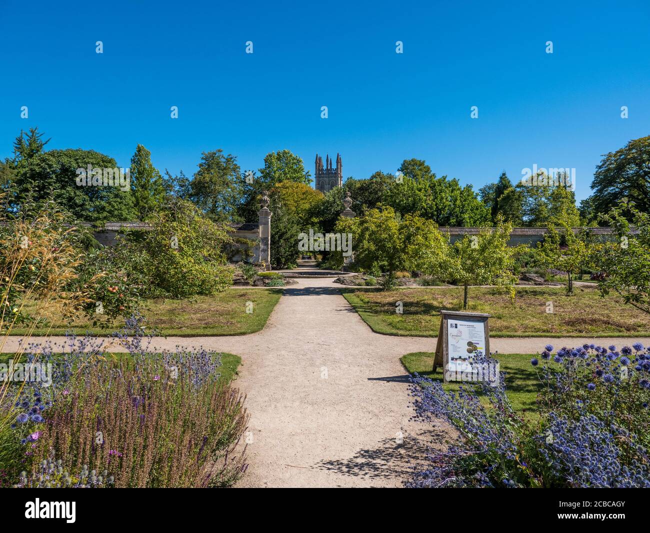 I confini di Merton, Landscape of University of Oxford Botanical Gardens, con Magdalene Tower, Oxford, Oxfordshire, Inghilterra, Regno Unito, GB. Foto Stock