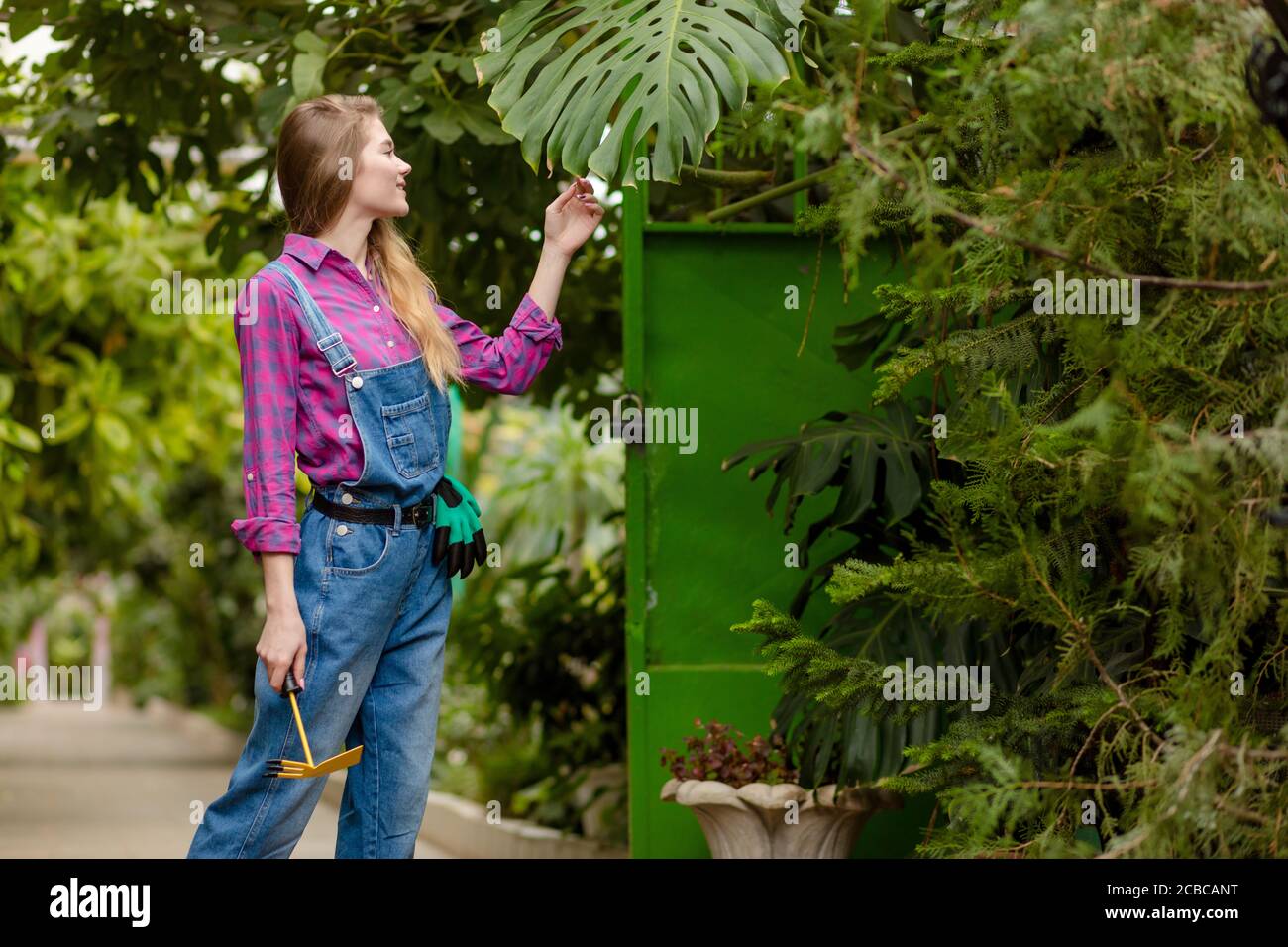 Giovane donna piacevole con zappa che ama trascorrere il tempo in giardino con piante meravigliose. Primo piano foto. Copia spazio Foto Stock