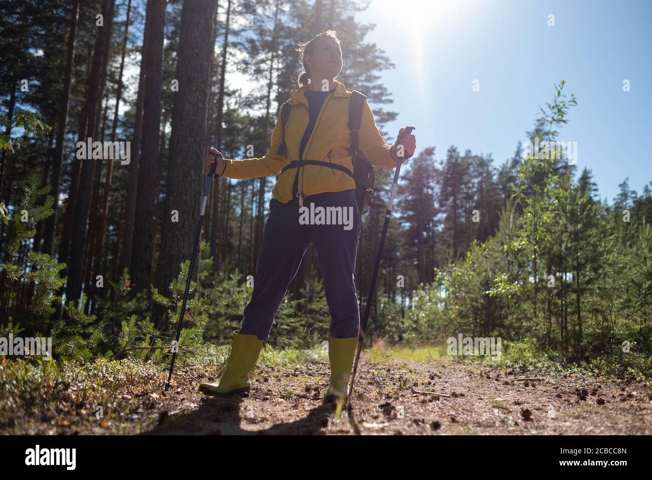 Gambe e bastoni per nordic walking nella natura estiva. Foto Stock