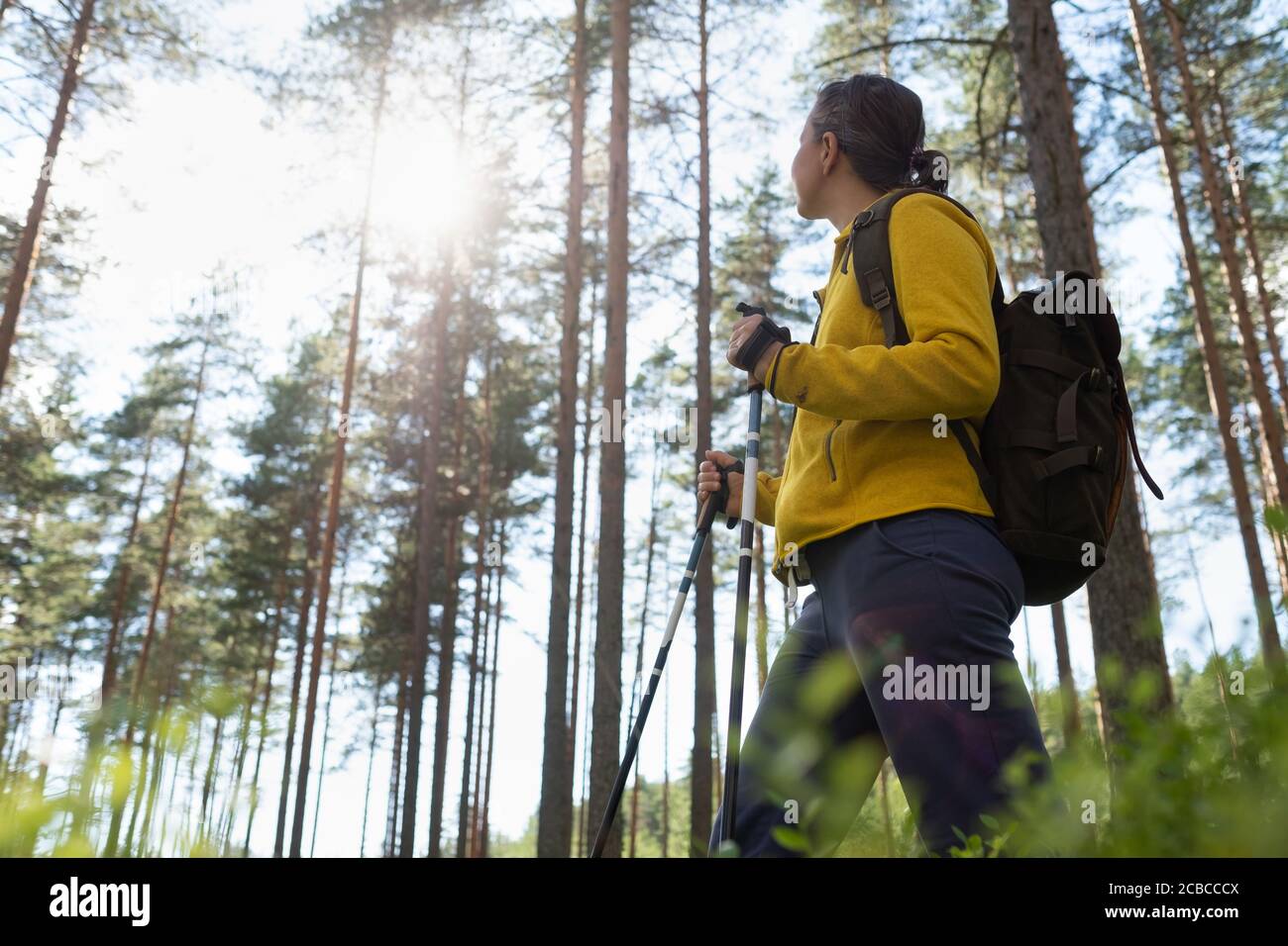 Gambe e bastoni per nordic walking nella natura estiva. Foto Stock