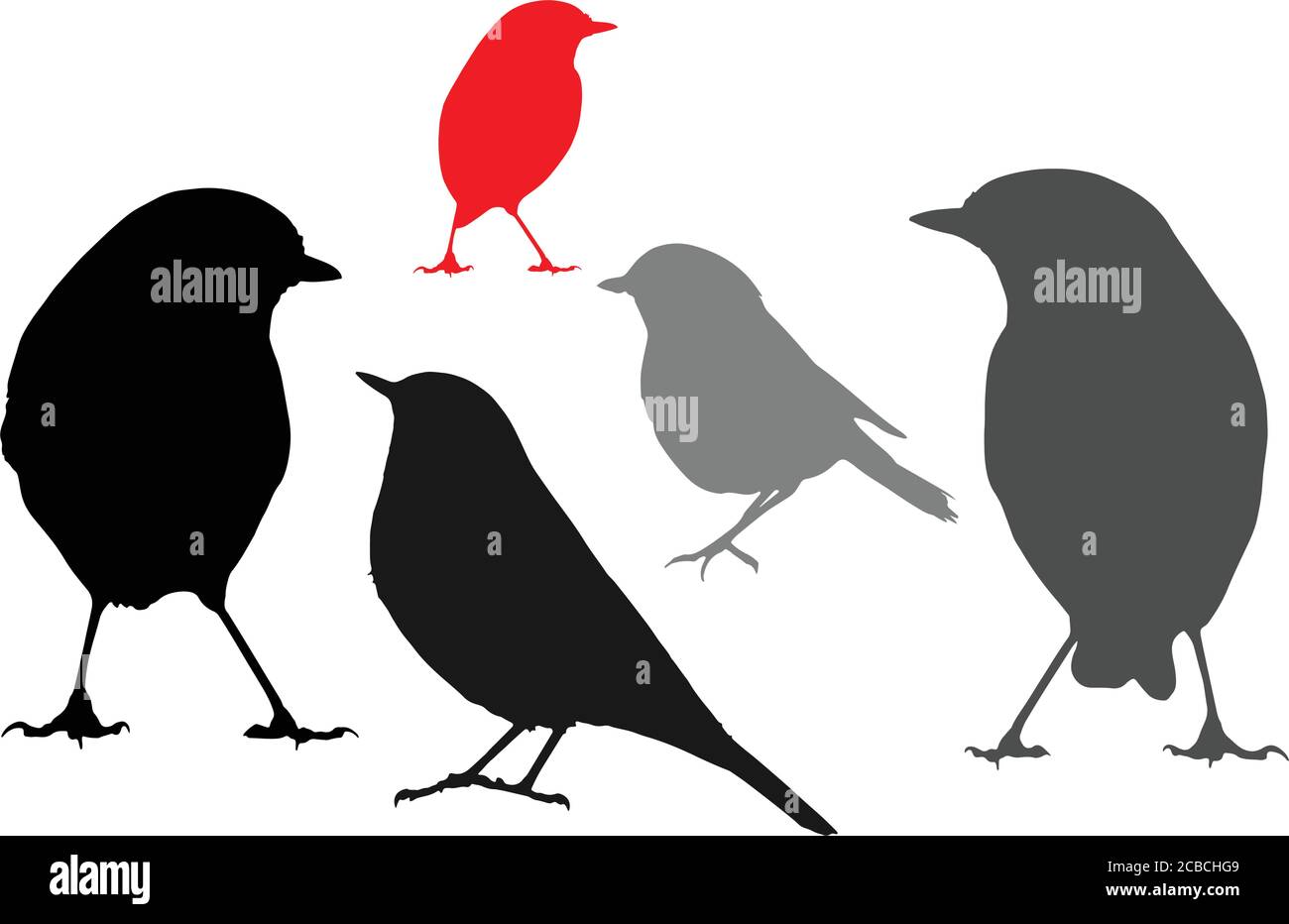 Piccoli uccelli carini. Immagini vettoriali. Sfondo bianco. Illustrazione Vettoriale