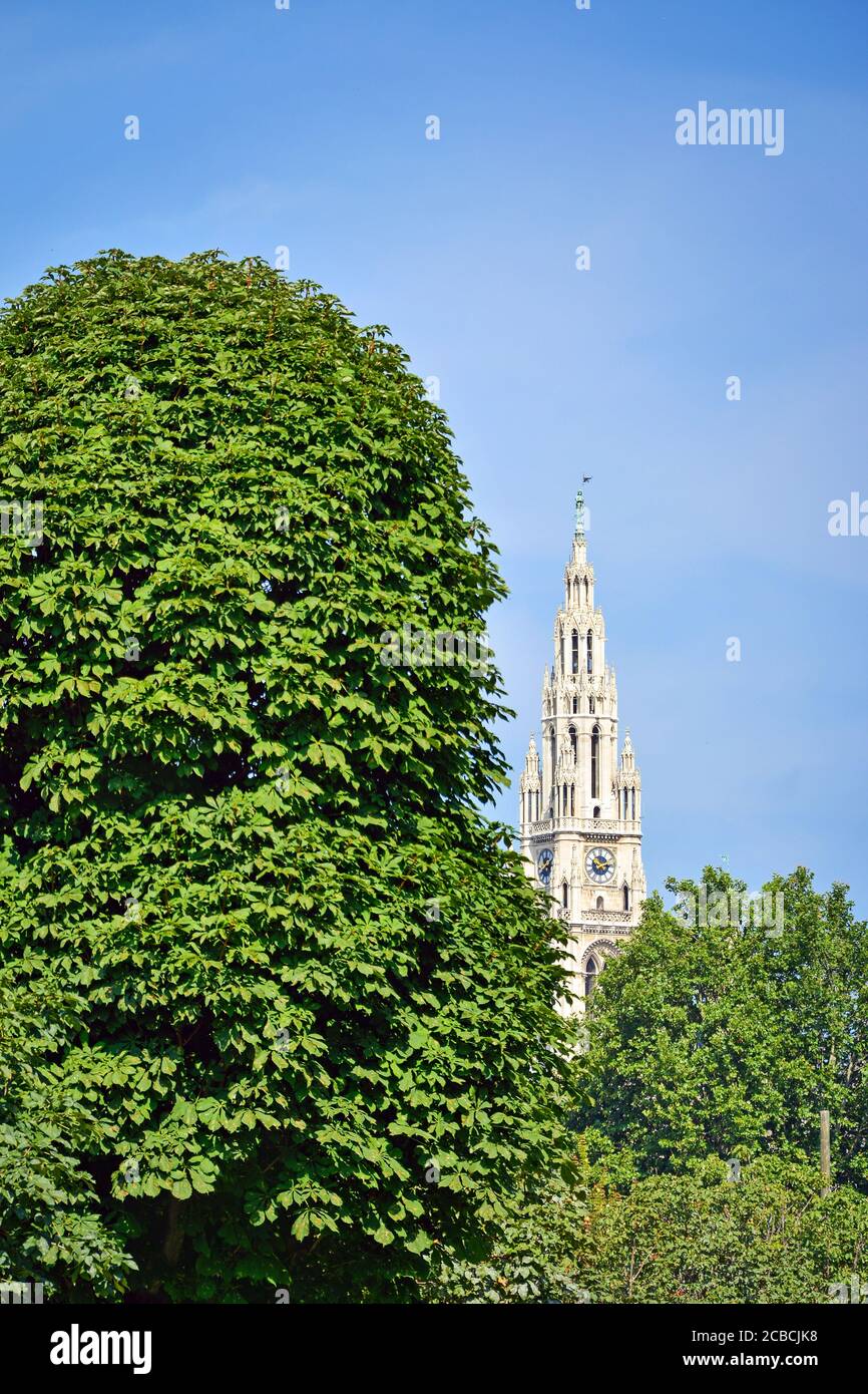 Il campanile della Cattedrale di Santo Stefano tra gli alberi in una bella giornata estiva Foto Stock