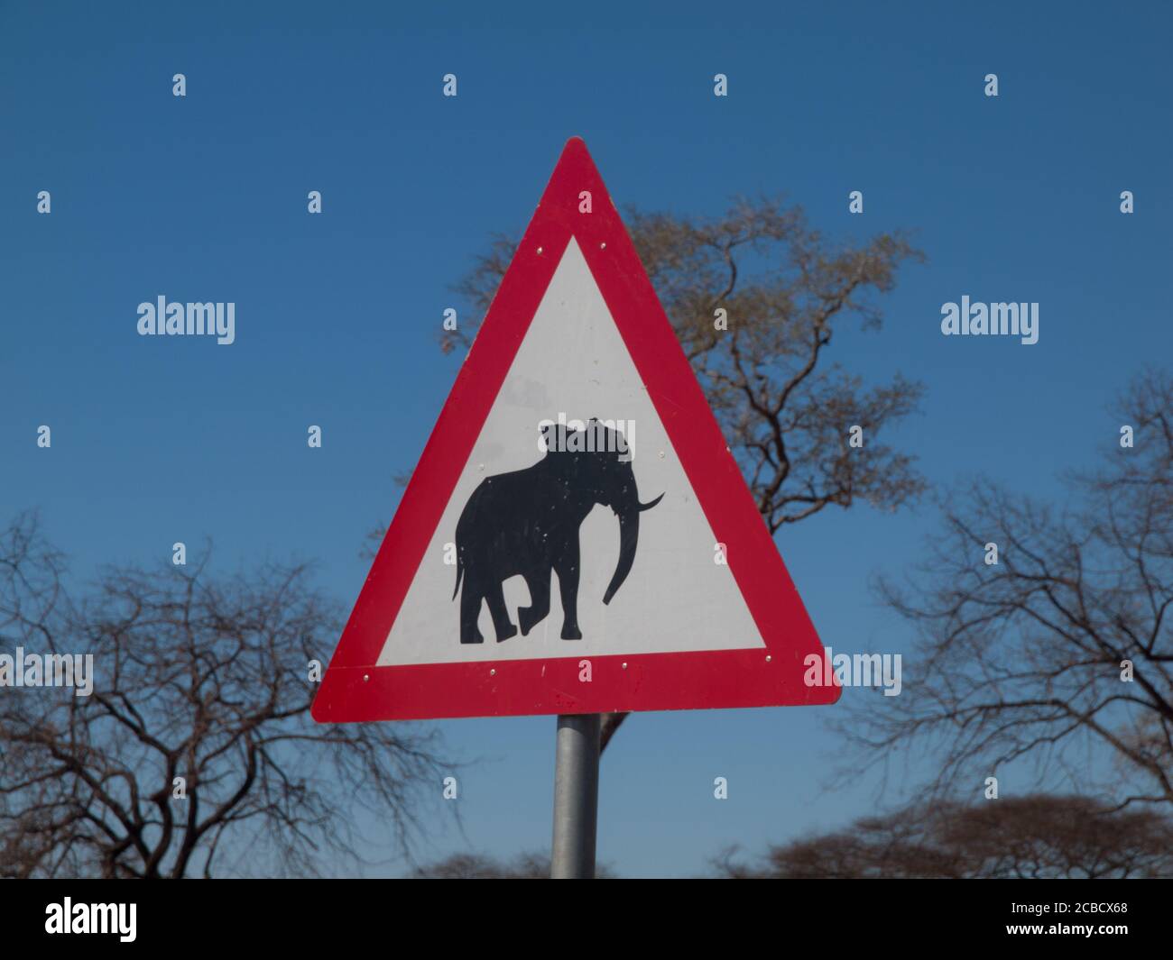 Attenzione agli elefanti - cartello di trasporto Foto Stock