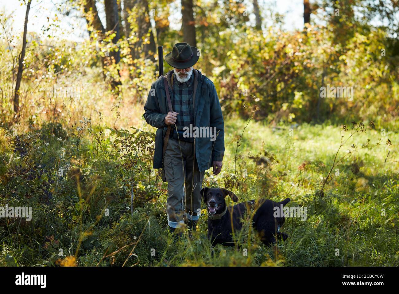 L'uomo anziano con labrador nero Retriever con tutte le attrezzature vanno a caccia. Tempo di caccia attivo Foto Stock