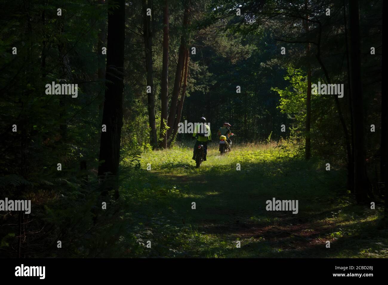 Sportivi su moto su pista forestale, vista posteriore. Foto Stock