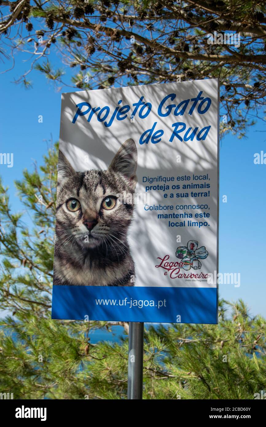 Cat shelter progetto in Albufeira Portogallo chiamata projeto gato de rua Foto Stock Cat shelter progetto in Albufeira Portogallo chiamata projeto gato de rua Foto Stock