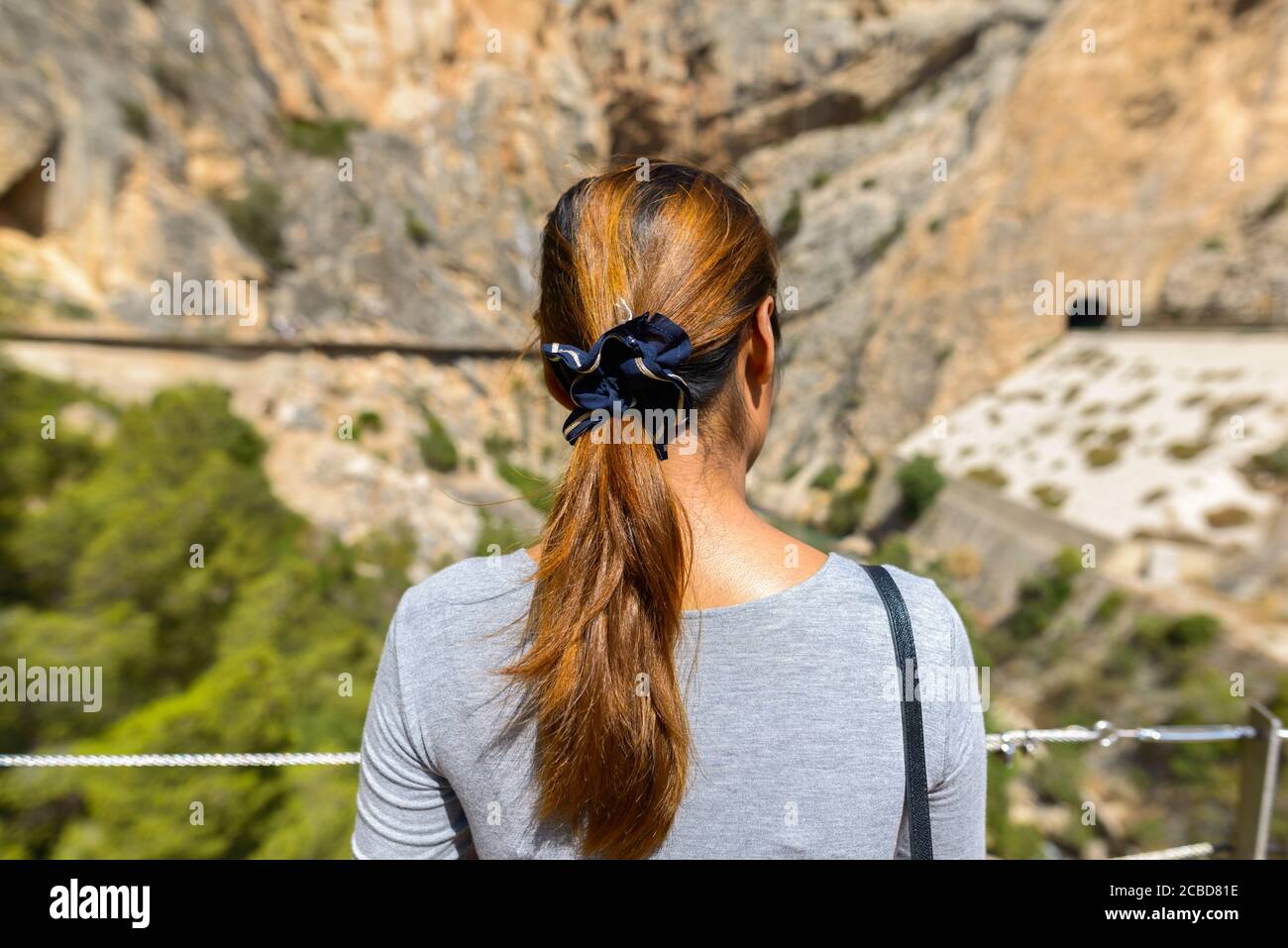 Vista posteriore della donna che guarda il paesaggio delle montagne Foto Stock