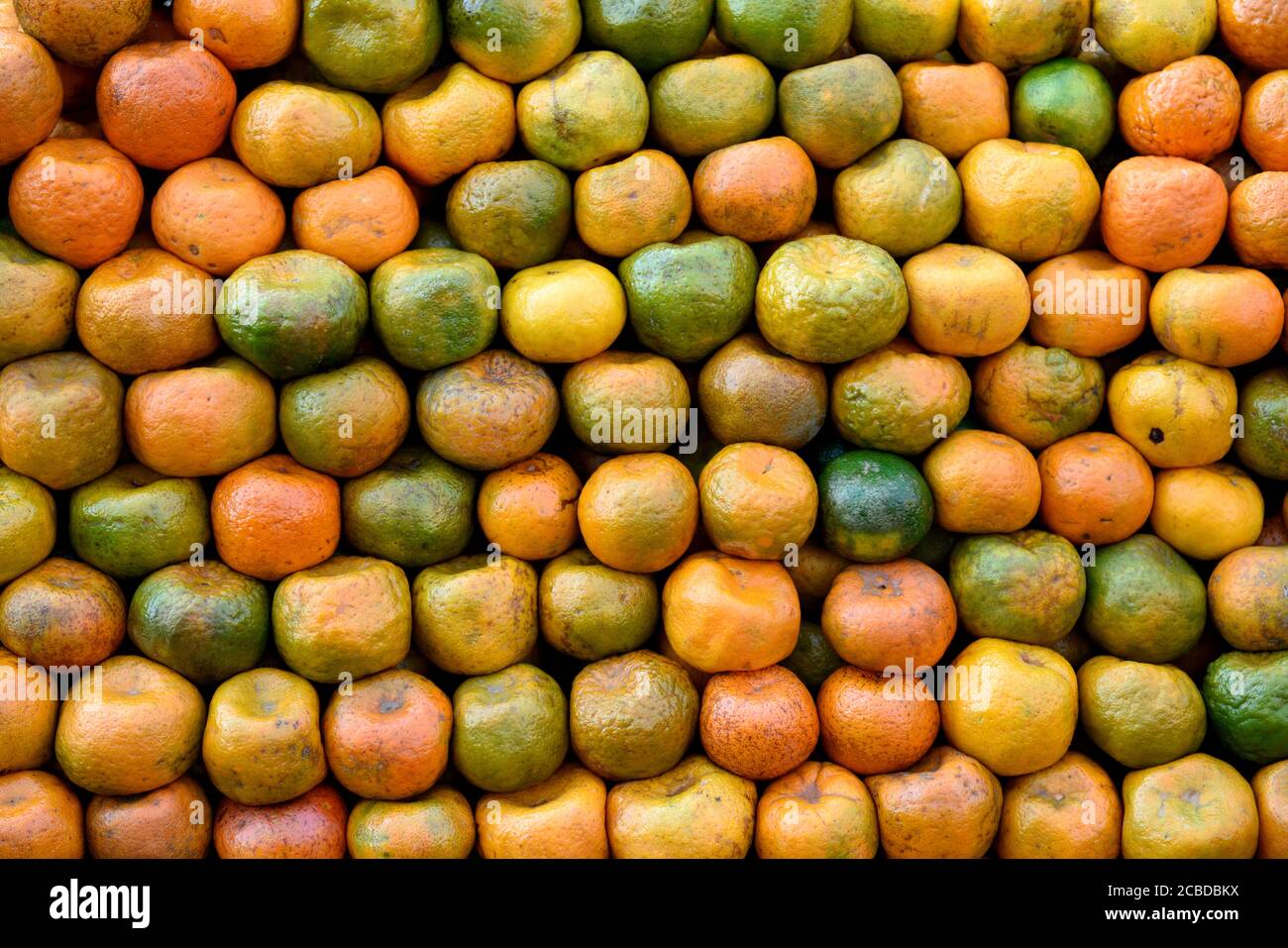 Arance cinesi mandarine colombiane, fresche raccolte arance mature grezze mandarine in un mercato agricolo in Colombia, Sud America Foto Stock