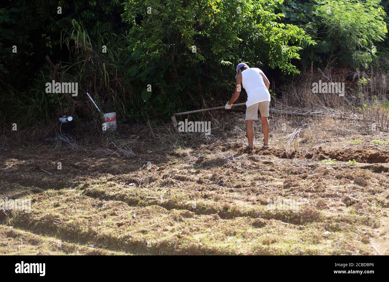 Un agricoltore che prepara il suo campo sull'isola di Lamma a Hong Kong. Foto Stock