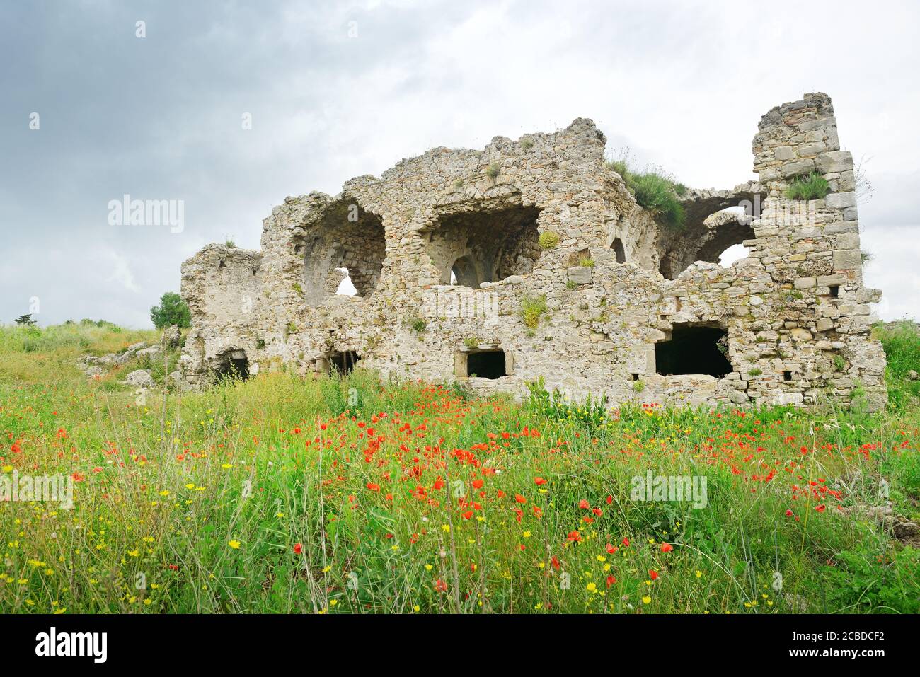 Antiche rovine adornate di erba e fiori Foto Stock