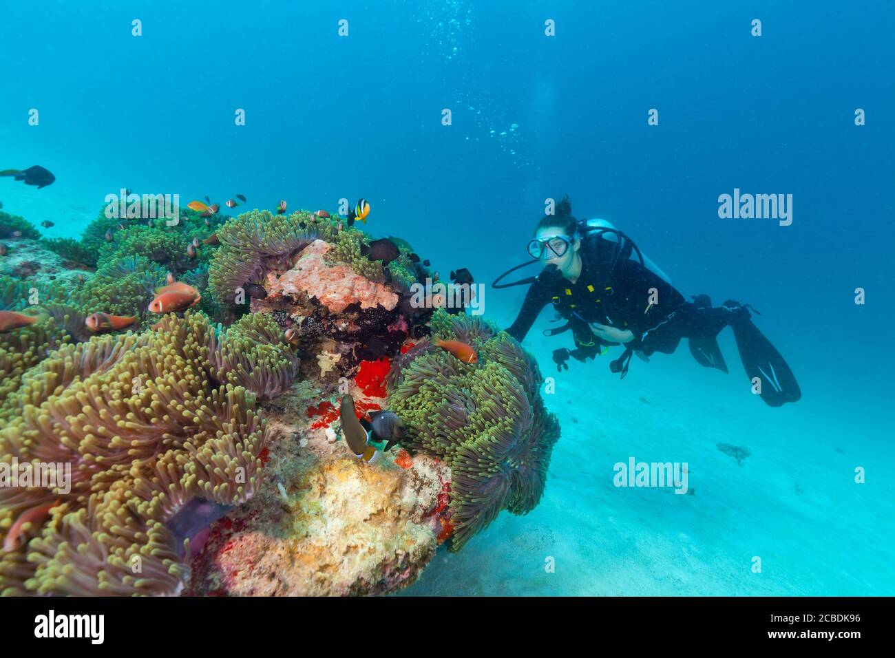 Giovane donna scuba diver esplorare Coral reef, attività subacquee Foto Stock