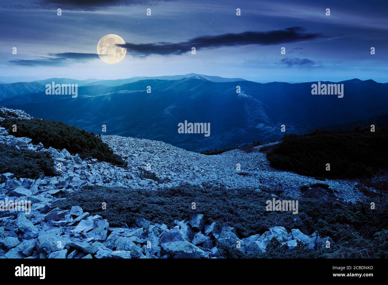 paesaggio montano con pietre di notte. albero di ginepro tra le rocce e l'erba. paesaggio naturale spettacolare in piena luce luna. vista magnifica in cima alla dista Foto Stock