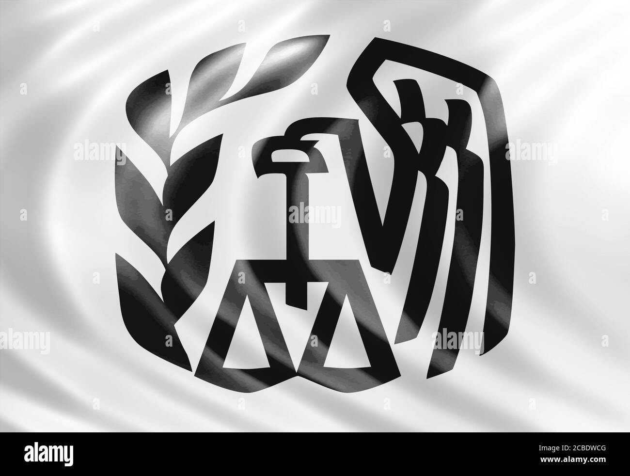 Icona del logo IRS del servizio di ricavo interno Foto Stock