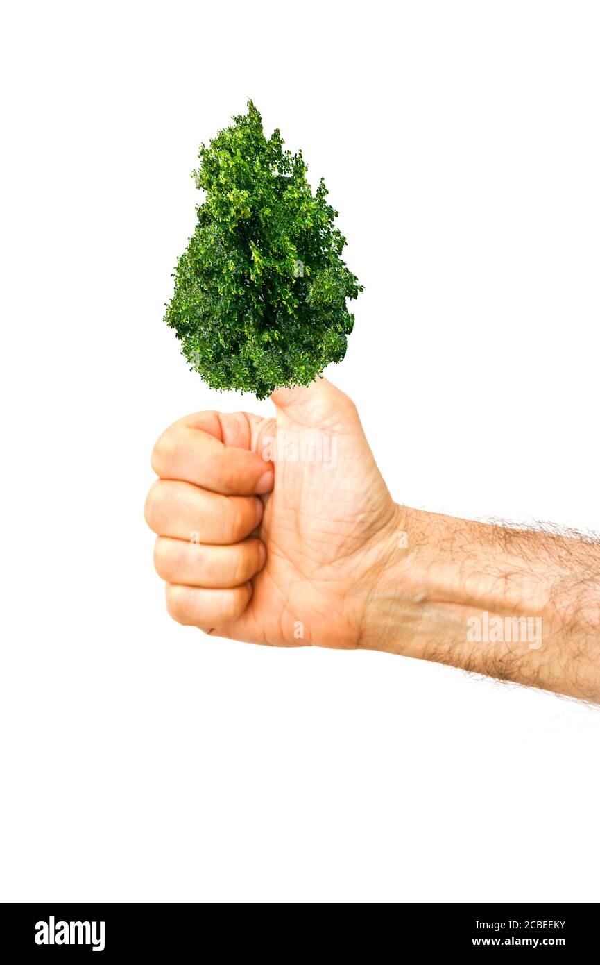 mano con un albero invece del pollice, concetto di pollice verde Foto Stock