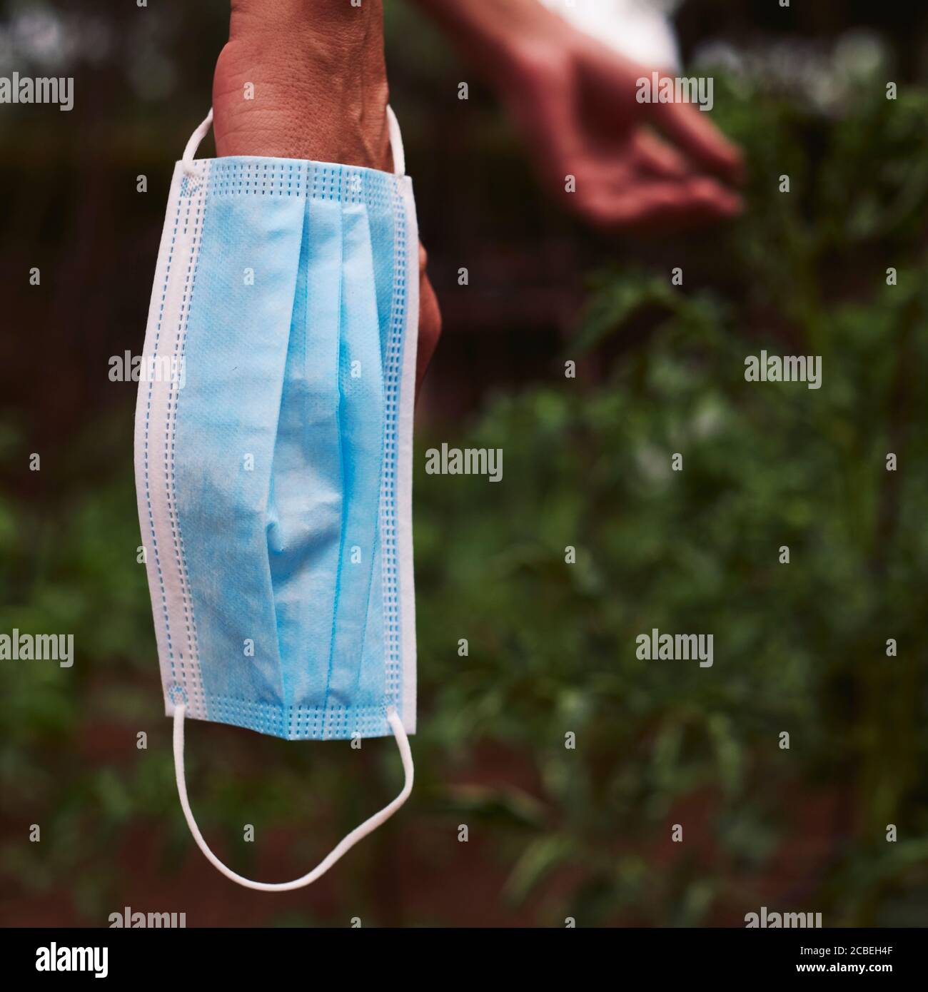 primo piano di un giovane contadino in un frutteto biologico indossando la sua maschera chirurgica in mano come lui è prendere uno sfiatatoio di indossarlo Foto Stock