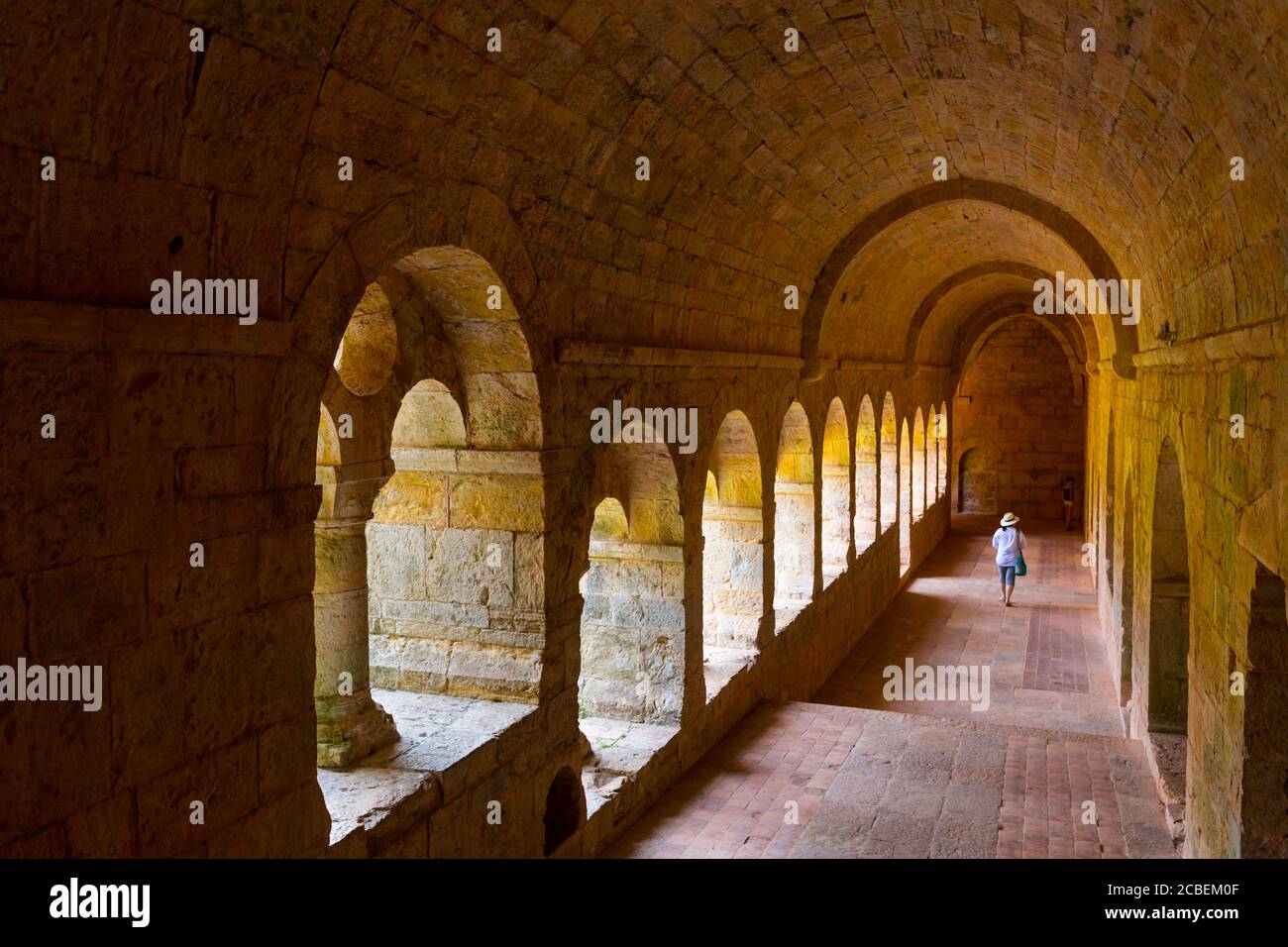 Abbazia di le Thoronet, l'Abbaye du Thoronet, Dipartimento del Var, architettura cistercense, Provenza, Francia, Europa Foto Stock