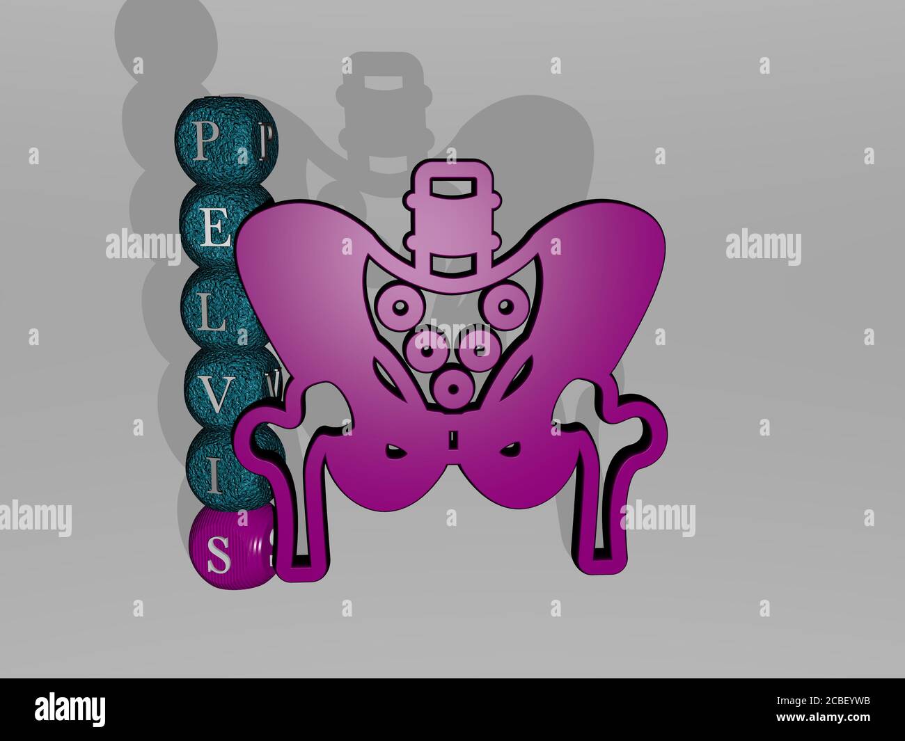 Icona PELVIS 3D e testo della lettera dei dadi - illustrazione 3D per anatomia e umano Foto Stock