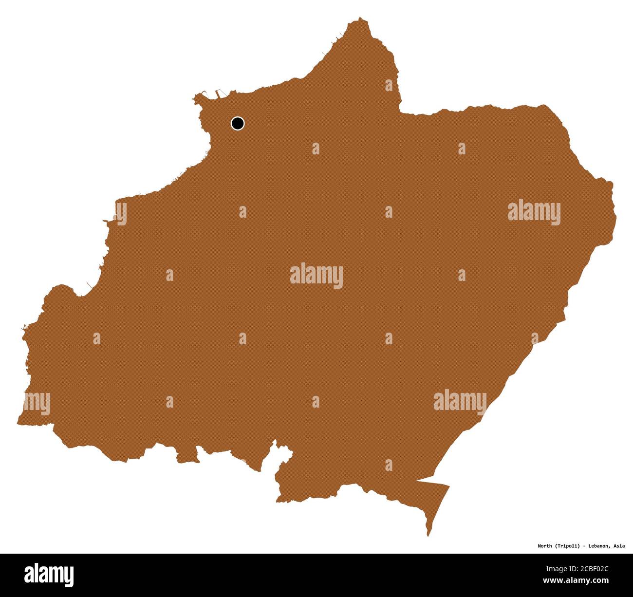 Forma del Nord, governatorato del Libano, con la sua capitale isolata su sfondo bianco. Composizione di texture con motivi. Rendering 3D Foto Stock