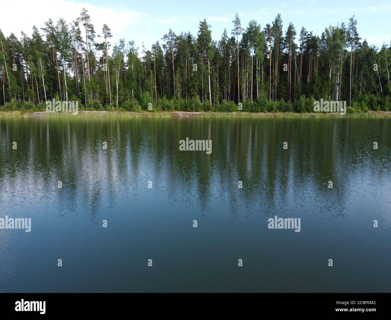 woodland sulla riva di un bacino idrico in estate foto aerea del giorno Foto Stock