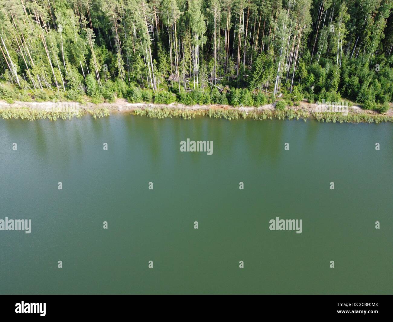 woodland sulla riva di un bacino idrico in estate foto aerea del giorno Foto Stock
