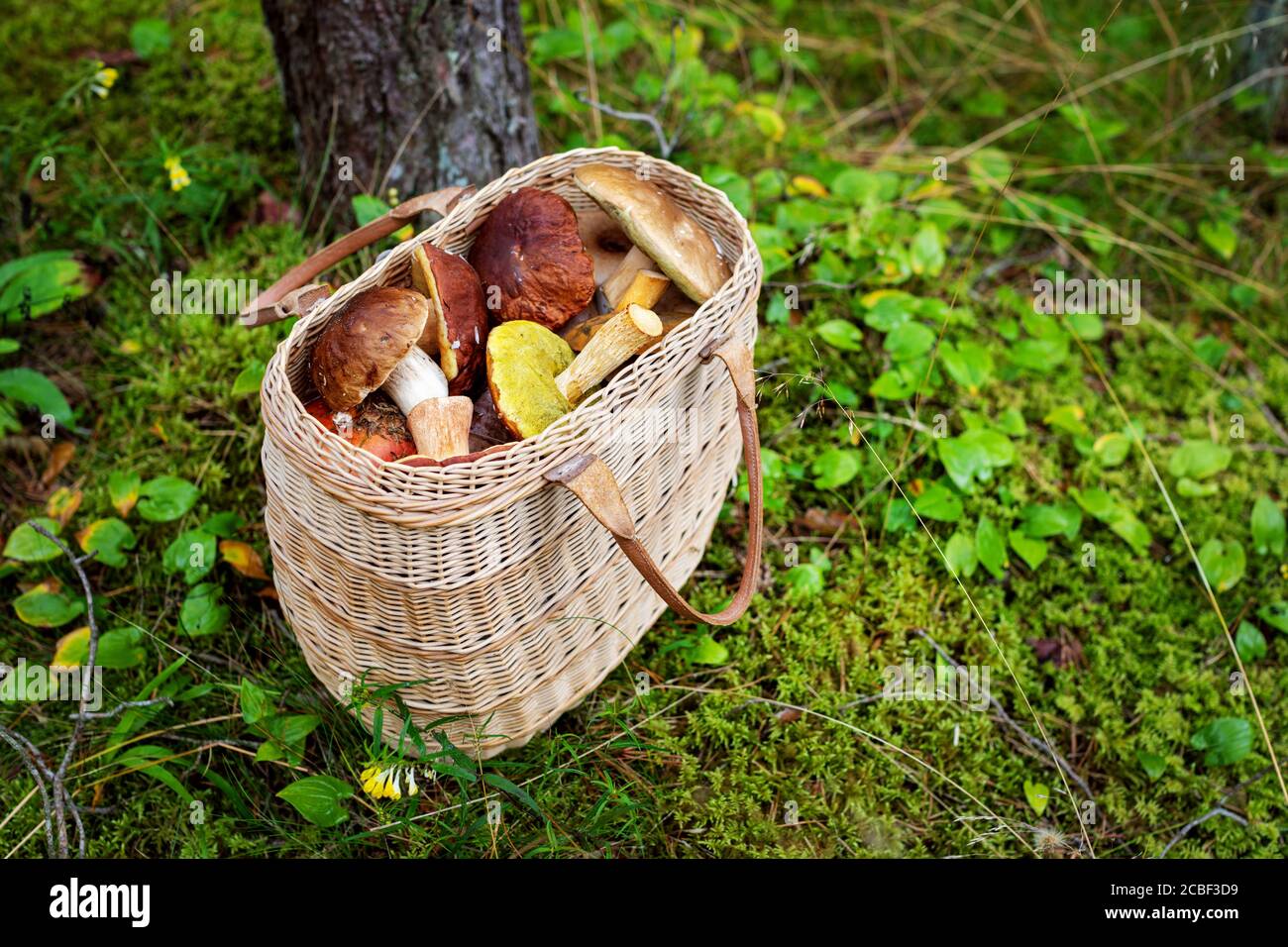 Cesto In Vimini Intrecciato A Mano Con Tracolla – Capiente E Multifunzione, Ideale Per Picnic, Funghi, Fiori, Libri E Giocattoli