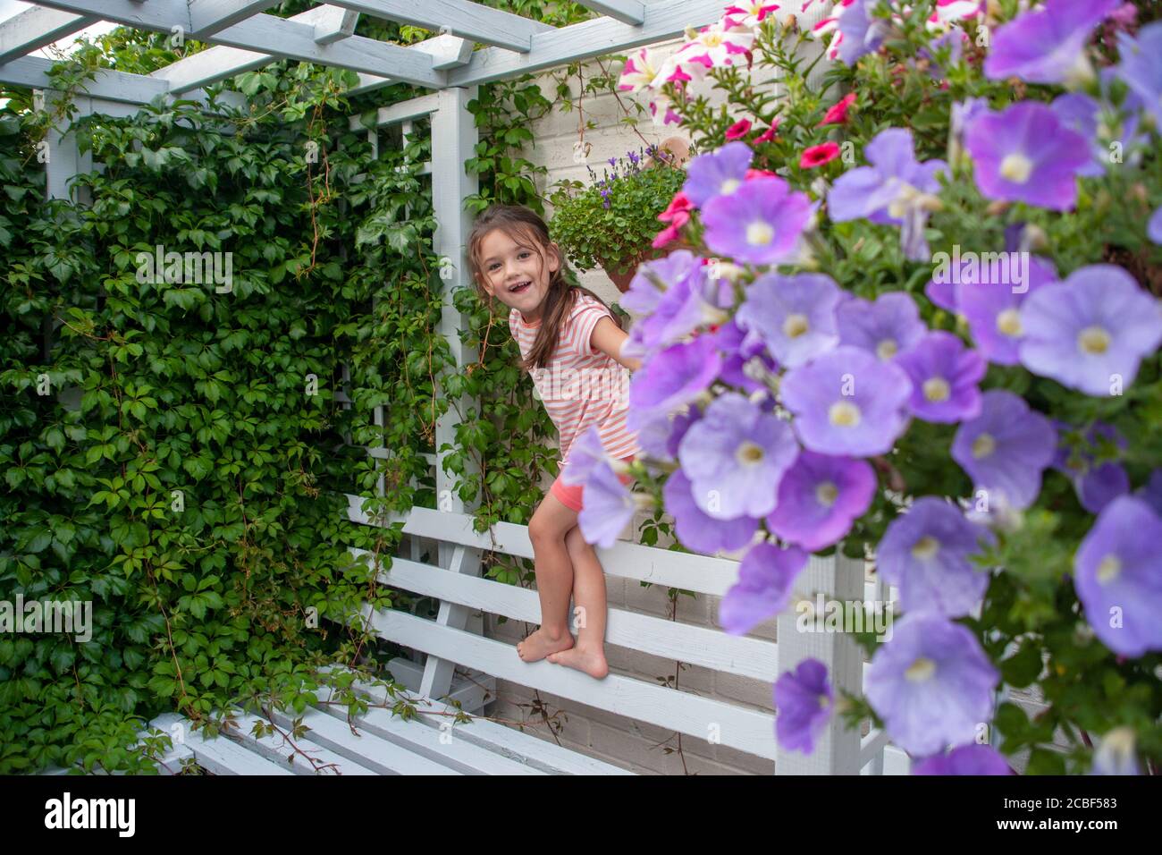 La ragazza caucasica di quattro anni si arrampica sulla panchina blu del giardino circondata da cesti pendenti di petunia e pianta del superriduttore di Virginia. Lancashire, Inghilterra, Regno Unito Foto Stock