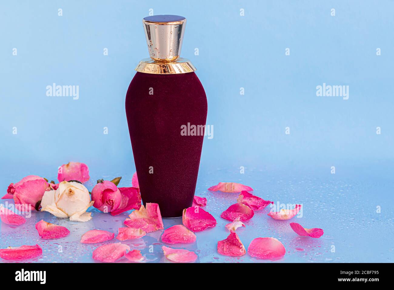 Bottiglia di velluto con profumo da donna. Circondato da petali di rosa su uno sfondo chiaro. Spazio di copia Foto Stock